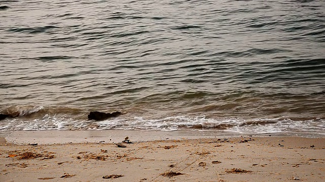 海滩上的软浪视频素材