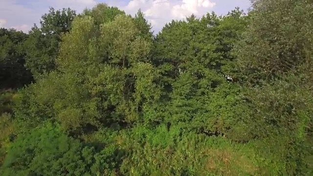 鸟瞰图:在繁茂的树梢上飞向豪华的郊区小镇，在阳光明媚的春天，从屋顶上可以看到美丽的郊区排屋视频素材