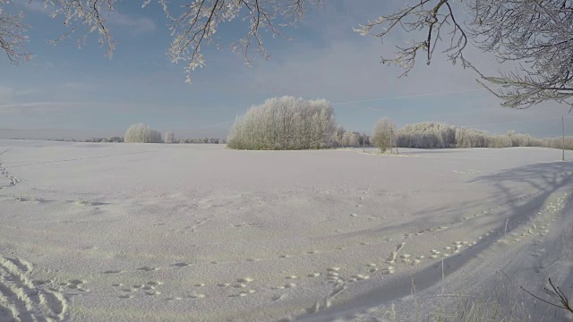 美丽的冬季风景，田野和树木，时光流逝视频素材