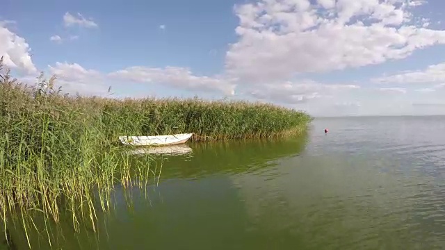 船在海湾的芦苇间，时光流逝视频素材