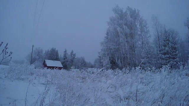 在暴风雪和薄雾中，宅基地上的树木被白霜覆盖视频素材