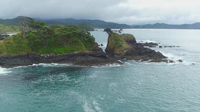 航拍:海浪拍打着粗糙的岩石海滩和刺槐丛林树视频素材