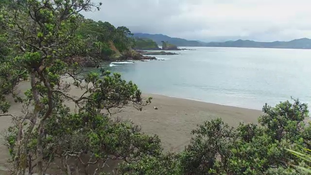 空中:飞过棕榈树丛林，飞向美丽的沙滩和粗糙的岩石峭壁视频素材