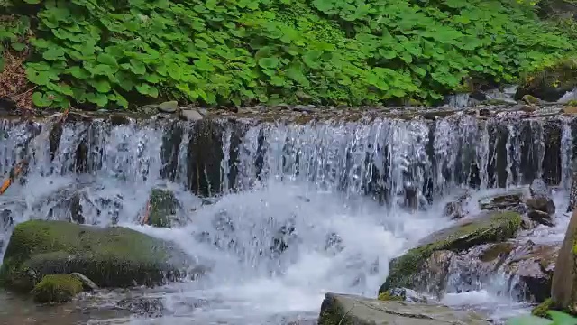 瀑布位于喀尔巴阡山区的Pylypets村附近视频素材