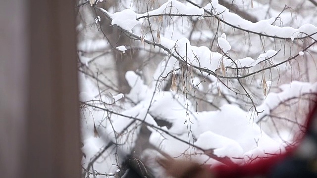 孩子，在平板电脑上玩视频下载