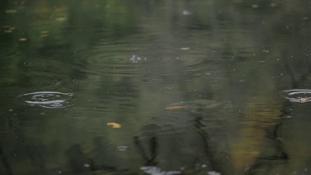 HD:雨滴视频素材