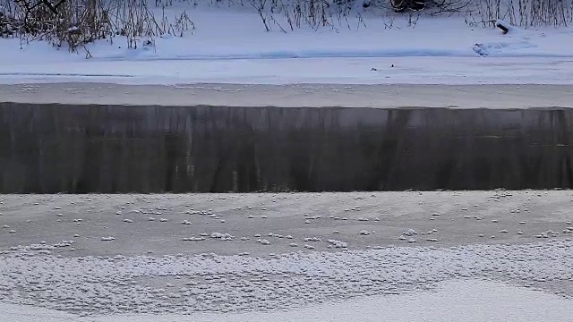 冬季的乡村景观森林里冰冻的河流视频素材