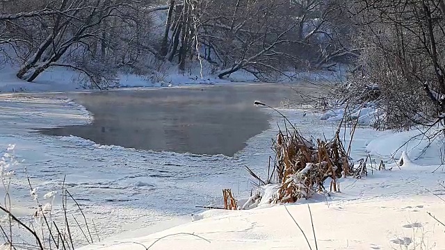 冬季的乡村景观森林里冰冻的河流视频素材