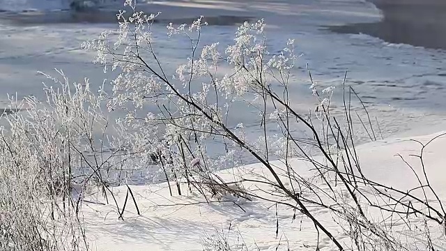 冬季的乡村景观森林里冰冻的河流视频素材