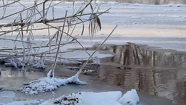 冬季的乡村景观森林里冰冻的河流视频素材