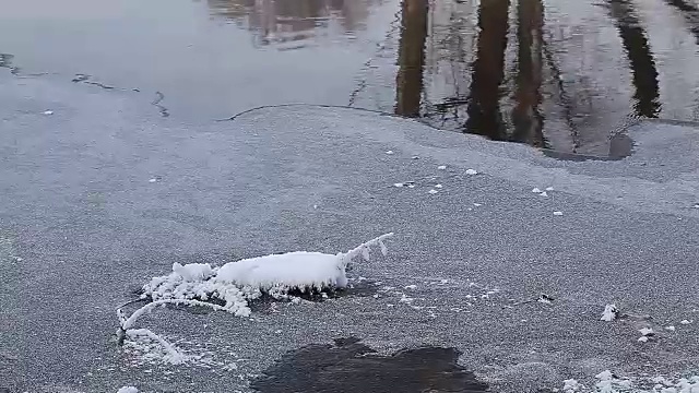 冬季的乡村景观森林里冰冻的河流视频素材