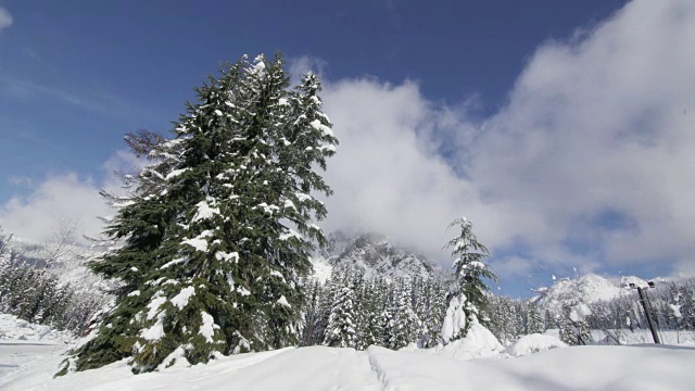 斯诺夸尔米山口雪树云时间流逝2视频素材