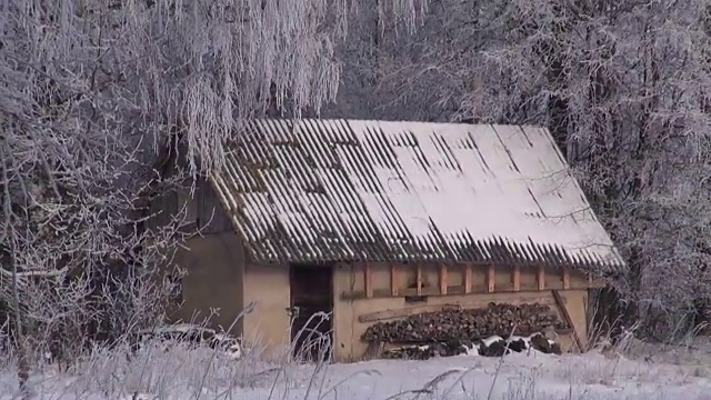 有一间小屋和结霜的桦树的景观视频素材