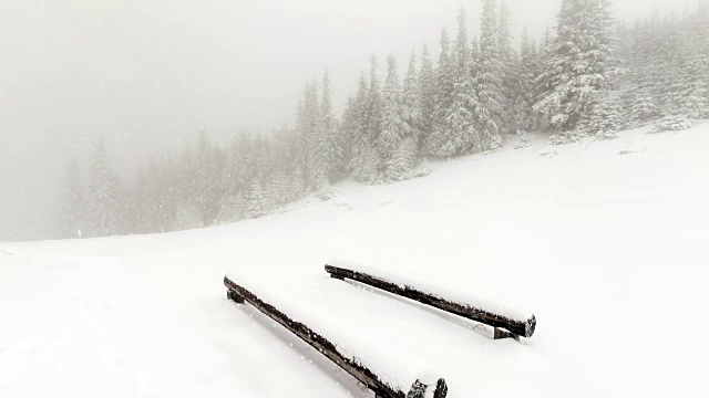 白雪覆盖的冷杉树视频素材