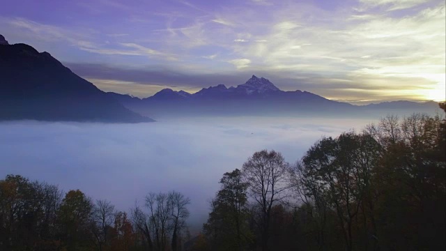 4K美丽的风景-飞过黑暗的树木在日落视频素材