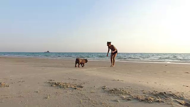 快乐的女人与两只法国斗牛犬享受在海上日落。视频素材