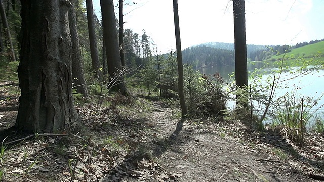 在自然森林里骑山地车下坡视频素材