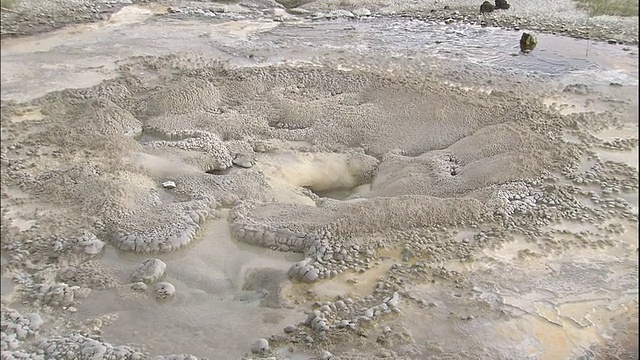 放大到从海葵间歇泉喷气孔喷出的热水和蒸汽视频素材