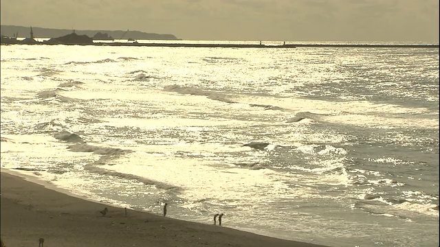 海浪拍打着日本鸟取沙丘的海岸视频素材