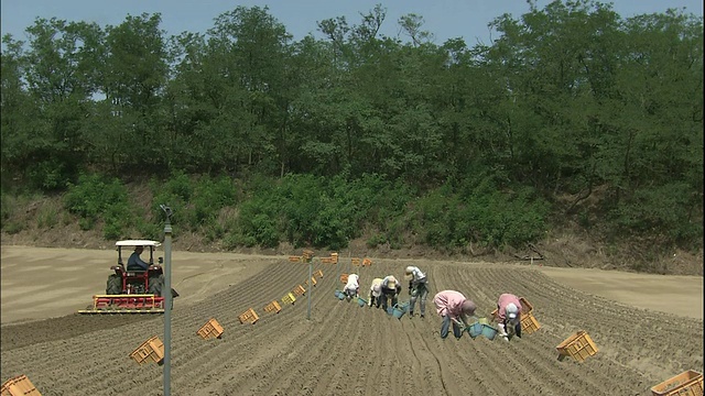 在日本，农民在犁地里工作视频素材