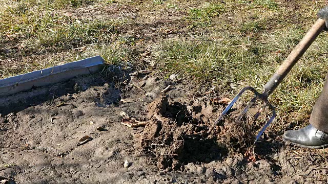 用草叉在花园里挖春土视频素材