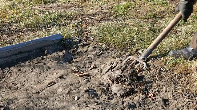 用草叉在花园里挖春土视频素材