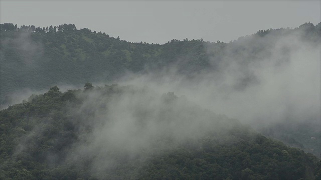 雾在山上飘过视频下载