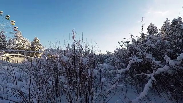 拍摄冰雪森林树木在冬季公园全高清视频素材