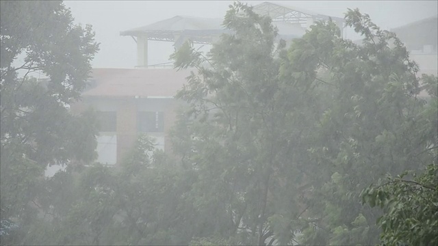 风暴和雨视频下载