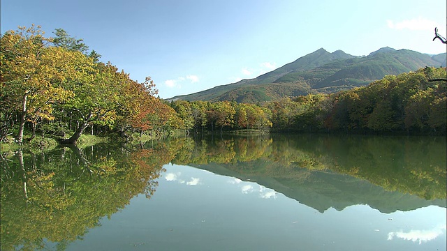 知床半岛的湖泊被秋色的树木包围，硫磺山倒映在水面上视频素材