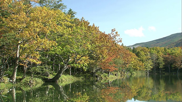 从倒映在湖中的秋叶到硫磺山视频素材