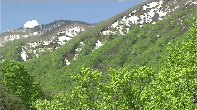 日本青森秋田白上山上的残余积雪视频素材