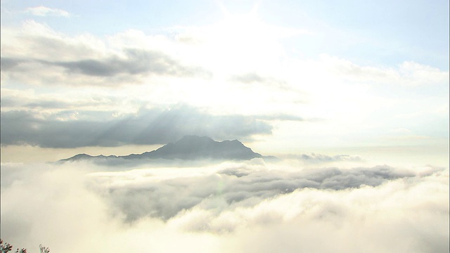 从云海之上的石冢山(Mount Ishizuchi)远眺，爱媛视频素材