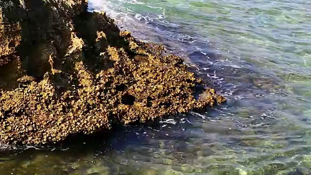 在阿曼的一个峡谷河石头和浮动的水视频下载