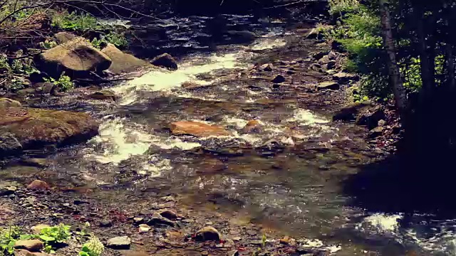 山流。水在森林中流动。夏天森林中的河流。阳光下水流过石头视频素材