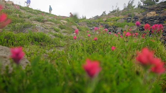 徒步旅行者走下山谷视频素材