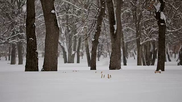 树林里下雪了视频素材