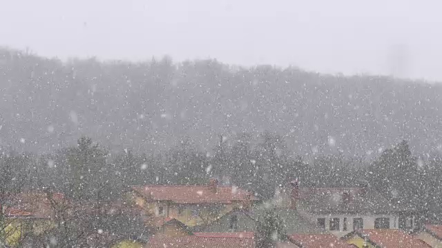 真实的自然大雪的特写镜头视频下载