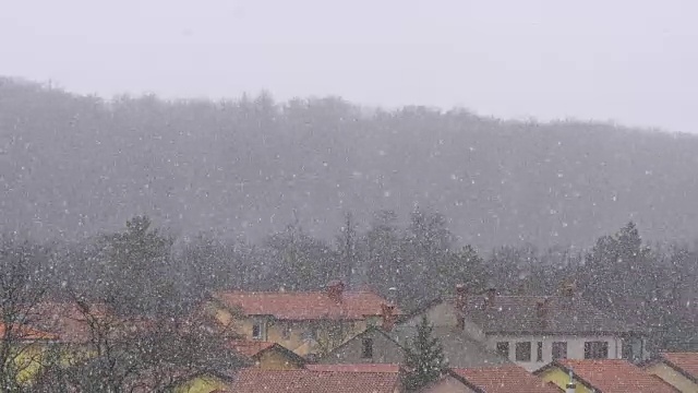 真实的自然降雪的近距离镜头视频下载