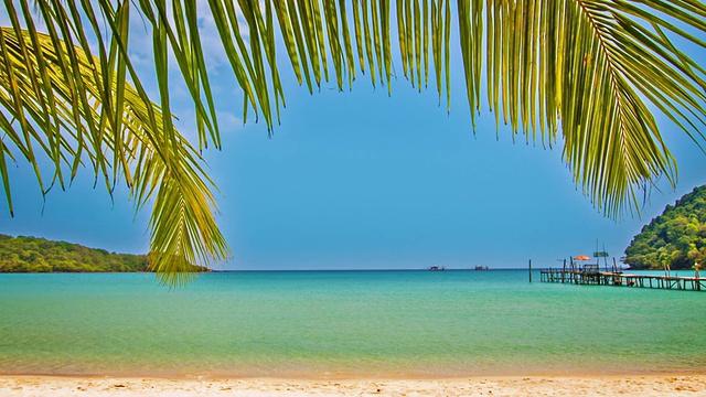 海滩棕榈树蓝天美景视频素材