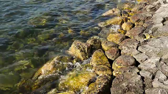 在上奥地利格蒙登的一个非常干净的湖的波浪水视频素材