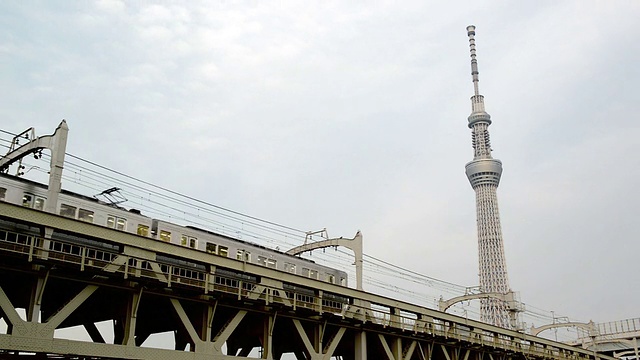 从Sumida河看东京天空树视频素材