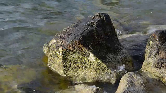 在上奥地利格蒙登的一个非常干净的湖的波浪水视频素材