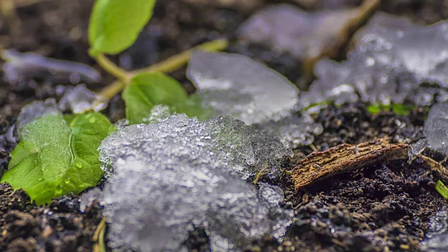 融化的雪/融化的冰/泉水/春天的时间视频素材