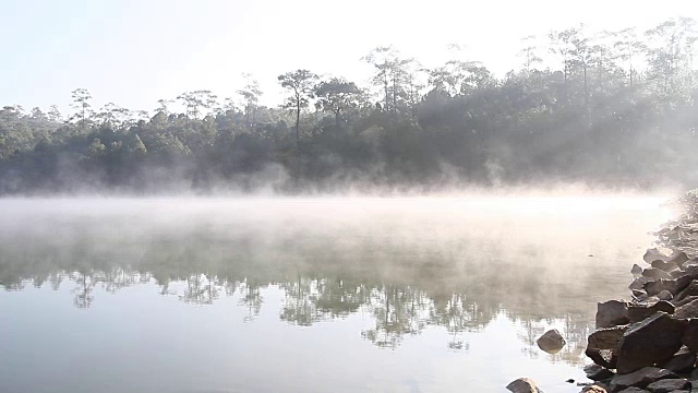 早晨的雾和春天的日出视频素材