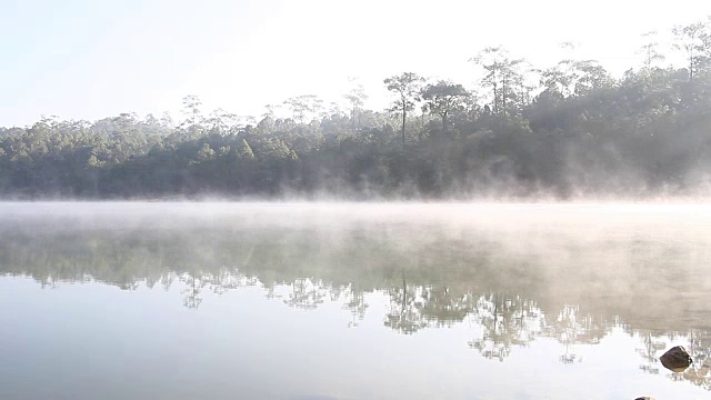 早晨的雾和春天的日出视频素材