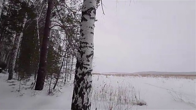 冬季仙境。雪自然景观。季节的天气视频下载