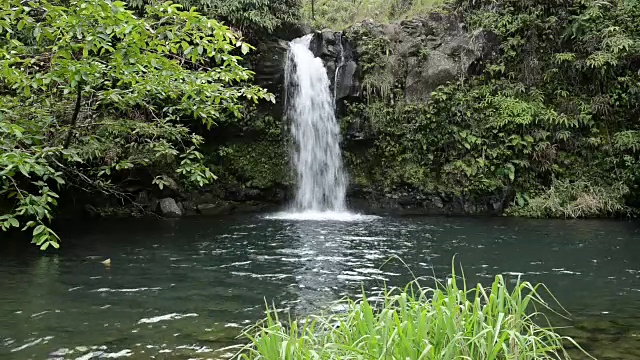 热带的瀑布视频素材