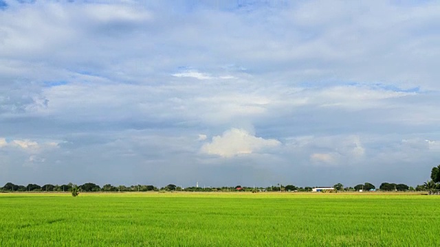 4K延时:天空和稻田，泰国视频素材