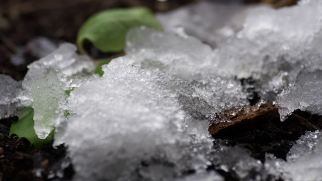 融化的雪/融化的冰/泉水/春天的时间视频素材